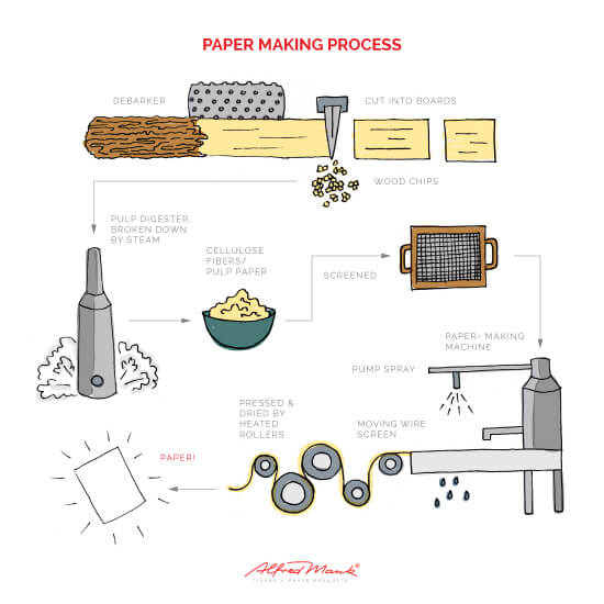 Mank Paper production Process Infograph