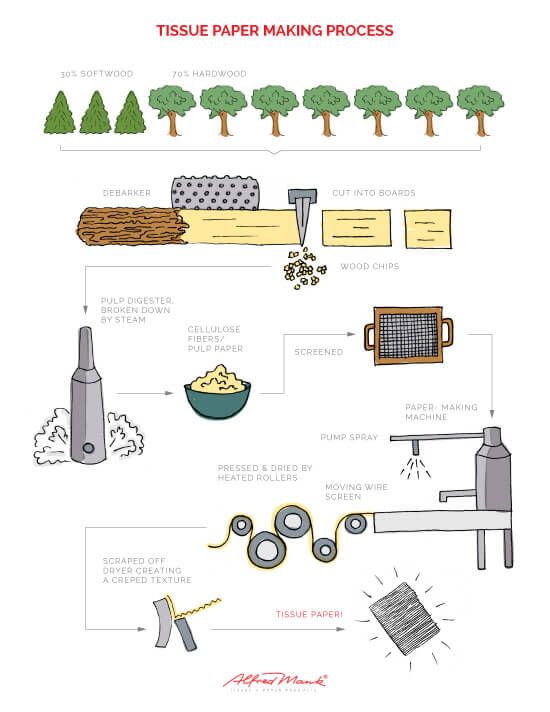 Mank Tissue Paper Production Process Infographic